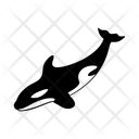 پیش‌نمایش فایل orca-11413962 از پک مجموعه وب‌کان 111