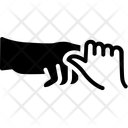 پیش‌نمایش فایل grasp-11565604 از پک وب