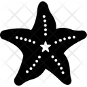 پیش‌نمایش فایل starfish-11906384 از پک وب