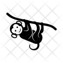 پیش‌نمایش فایل monkey-12278048 از پک حیوانات