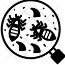 پیش‌نمایش فایل reinfestation-12448484 از پک وب