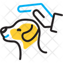 پیش‌نمایش فایل big-pat-12538439 از پک وب