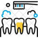 پیش‌نمایش فایل teeth-cleaning-12618426 از پک وب