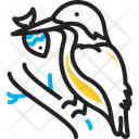 پیش‌نمایش فایل hunt-12803135 از پک مجموعه کنفرانس وب 110