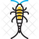 پیش‌نمایش فایل silverfish-insect-14110469 از پک مجموعه وب-کن 152