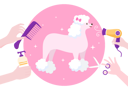 پیش‌نمایش فایل animal-beauty-salon-4975426 از پک حیوان خانگی گرومینگ برای سگ‌ها و کاتس