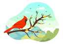 پیش‌نمایش فایل bird-9988372 از پک پرنده و حیوان