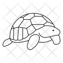 پیش‌نمایش فایل ploughshare-tortoise-8318100 از پک حیوان 2