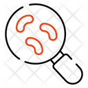 پیش‌نمایش فایل search-microorganism-4775740 از پک آموزش و پرورش