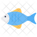پیش‌نمایش فایل fish-4800051 از پک غذا و نوشیدنی