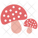 پیش‌نمایش فایل mushrooms-4800031 از پک غذا و نوشیدنی