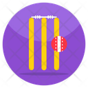 پیش‌نمایش فایل wicket-5848531 از پک ورزش و بازی‌ها