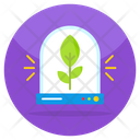 پیش‌نمایش فایل sprout-5848969 از پک تکنولوژی
