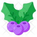 پیش‌نمایش فایل holly-berries-6872036 از پک کریسمس