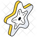 پیش‌نمایش فایل star-7395842 از پک کمپینگ و سفر