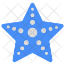 پیش‌نمایش فایل starfish-8500717 از پک سفر و هتل