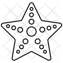 پیش‌نمایش فایل starfish-8500474 از پک سفر و هتل