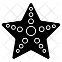 پیش‌نمایش فایل starfish-8500354 از پک سفر و هتل