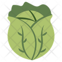 پیش‌نمایش فایل cabbage-10199184 از پک غذا