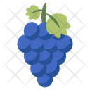 پیش‌نمایش فایل grapes-10199176 از پک غذا