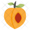 پیش‌نمایش فایل apricot-10199227 از پک غذا
