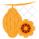 پیش‌نمایش فایل star-fruit-10199283 از پک غذا