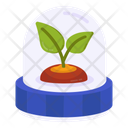 پیش‌نمایش فایل growing-plant-10458448 از پک هوش مصنوعی