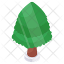 پیش‌نمایش فایل pine-tree-12961884 از پک سفر