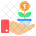 پیش‌نمایش فایل money-plant-3841701 از پک مدرسه و آموزش