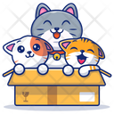 پیش‌نمایش فایل happy-cats-4810287 از پک حیوانات بامزه
