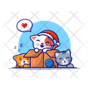 پیش‌نمایش فایل cue-cat-in-box-5259698 از پک حیوان