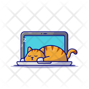 پیش‌نمایش فایل cat-7194518 از پک حیوانات خانگی