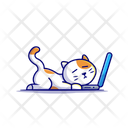 پیش‌نمایش فایل sleepy-cat-7194509 از پک حیوانات خانگی