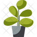 پیش‌نمایش فایل plant-11537544 از پک مبلمان