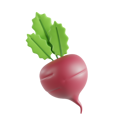 پیش‌نمایش فایل beet-8425615 از پک سبزیجات