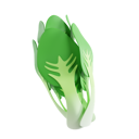 پیش‌نمایش فایل bok-choy-8425589 از پک سبزیجات