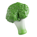 پیش‌نمایش فایل broccoli-8425585 از پک سبزیجات