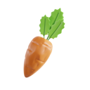 پیش‌نمایش فایل carrot-8425606 از پک سبزیجات