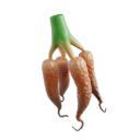 پیش‌نمایش فایل cassava-8425599 از پک سبزیجات
