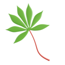 پیش‌نمایش فایل cassava-leaves-8425570 از پک سبزیجات
