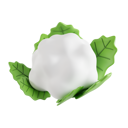 پیش‌نمایش فایل cauliflower-8425577 از پک سبزیجات