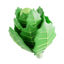 پیش‌نمایش فایل chinese-cabbage-8425568 از پک سبزیجات