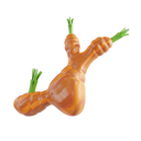 پیش‌نمایش فایل galangal-8425592 از پک سبزیجات