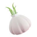 پیش‌نمایش فایل garlic-8425602 از پک سبزیجات
