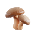 پیش‌نمایش فایل mushroom-8425593 از پک سبزیجات