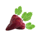 پیش‌نمایش فایل purple-carrot-8425571 از پک سبزیجات