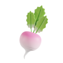 پیش‌نمایش فایل radish-8425603 از پک سبزیجات