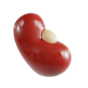 پیش‌نمایش فایل red-beans-8425583 از پک سبزیجات