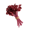 پیش‌نمایش فایل red-spinach-8425575 از پک سبزیجات
