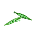 پیش‌نمایش فایل snow-peas-8425582 از پک سبزیجات